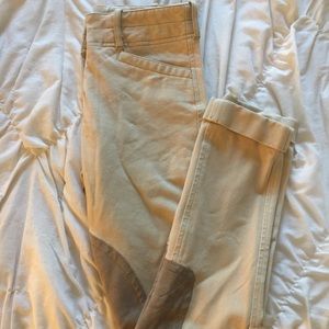 Ariat riding jodhpurs